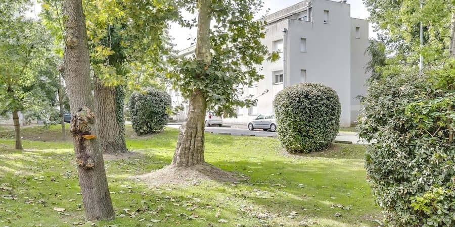 Ile Beaulieu une  exploitée par Studea à Nantes 